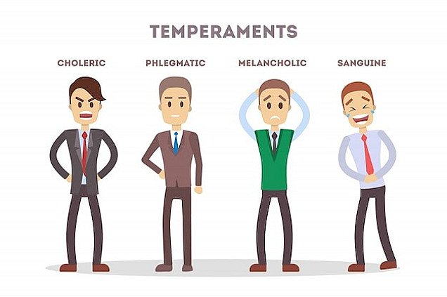 Temperament Tipinizin Peşə Seçiminizə Təsiri